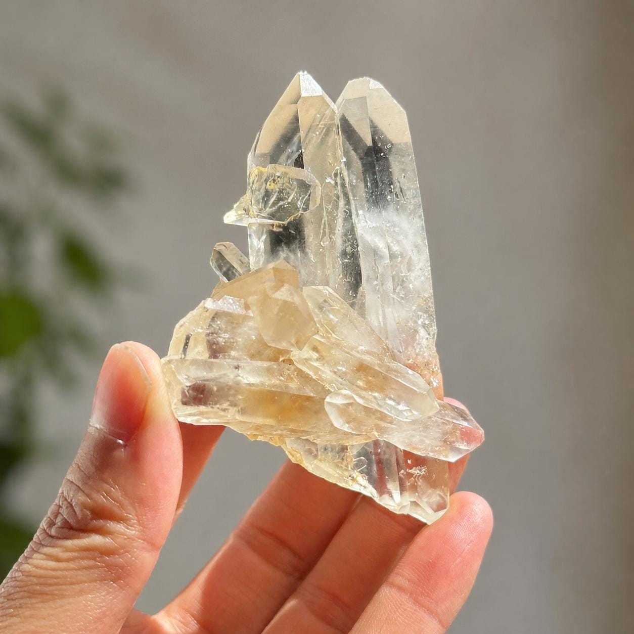 Natural Brazilian Quartz Cluster Specimen, Smoky Quartz Clear Quartz Citrine Phantom Raw Crystal, Minas Gerais Altar Decor Pick Exact A-F