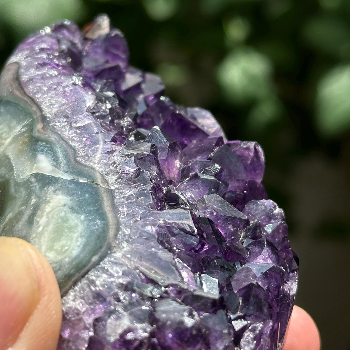 Uruguayan Amethyst Cluster with God Fingerprint Growth Marks, Deep Purple Druzy Crystal Specimen, One of a Kind - view 9