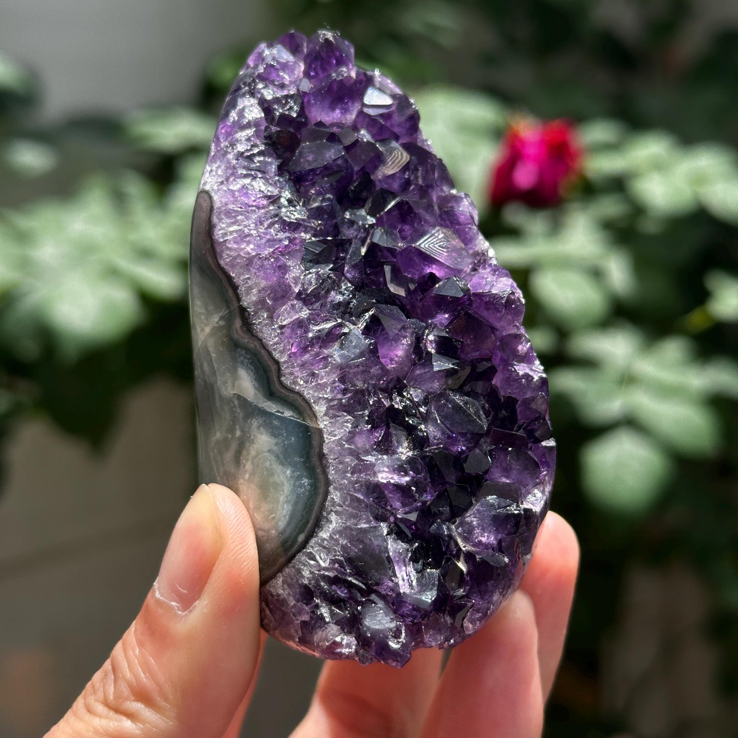 Uruguayan Amethyst Cluster with God Fingerprint Growth Marks, Deep Purple Druzy Crystal Specimen, One of a Kind