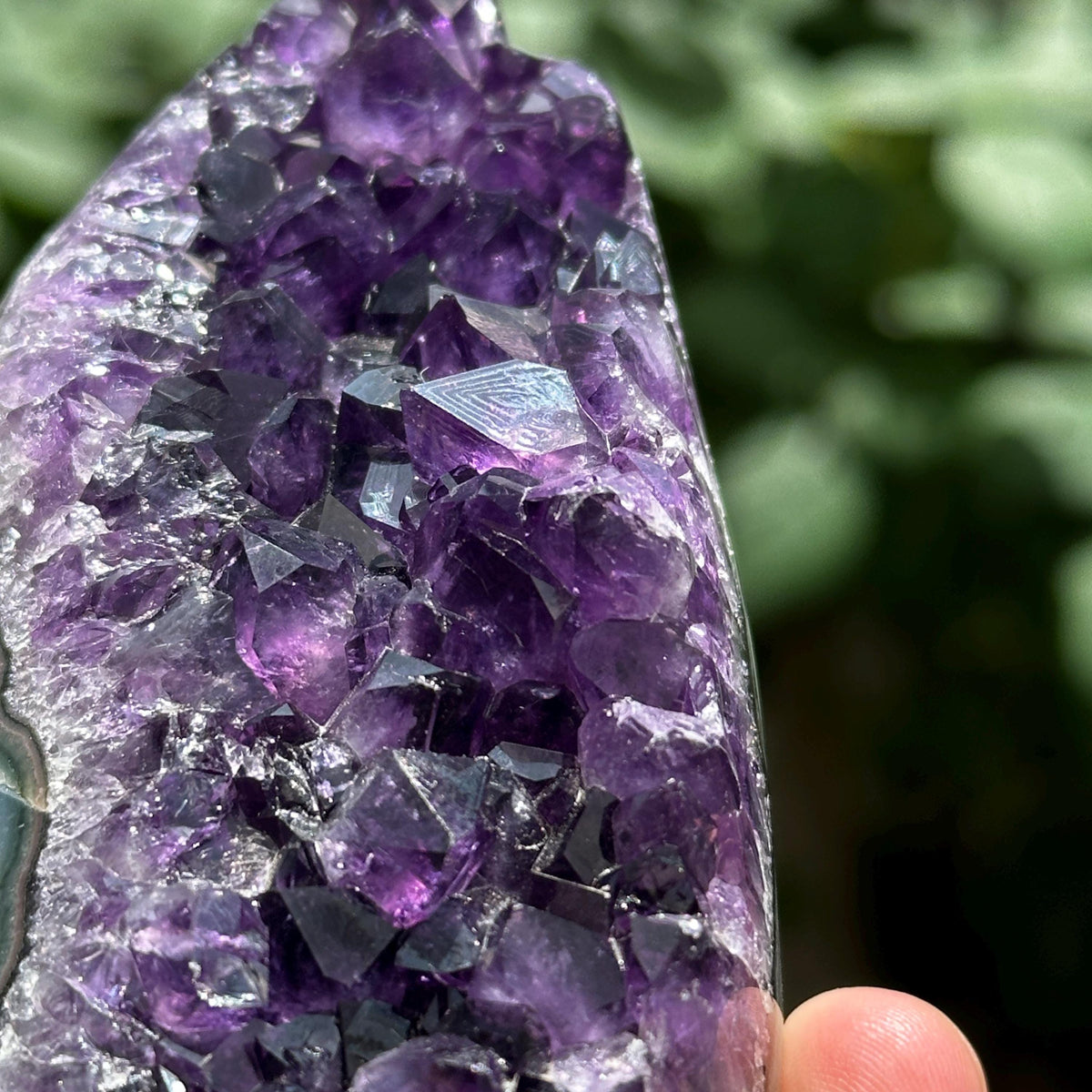 Uruguayan Amethyst Cluster with God Fingerprint Growth Marks, Deep Purple Druzy Crystal Specimen, One of a Kind - view 5