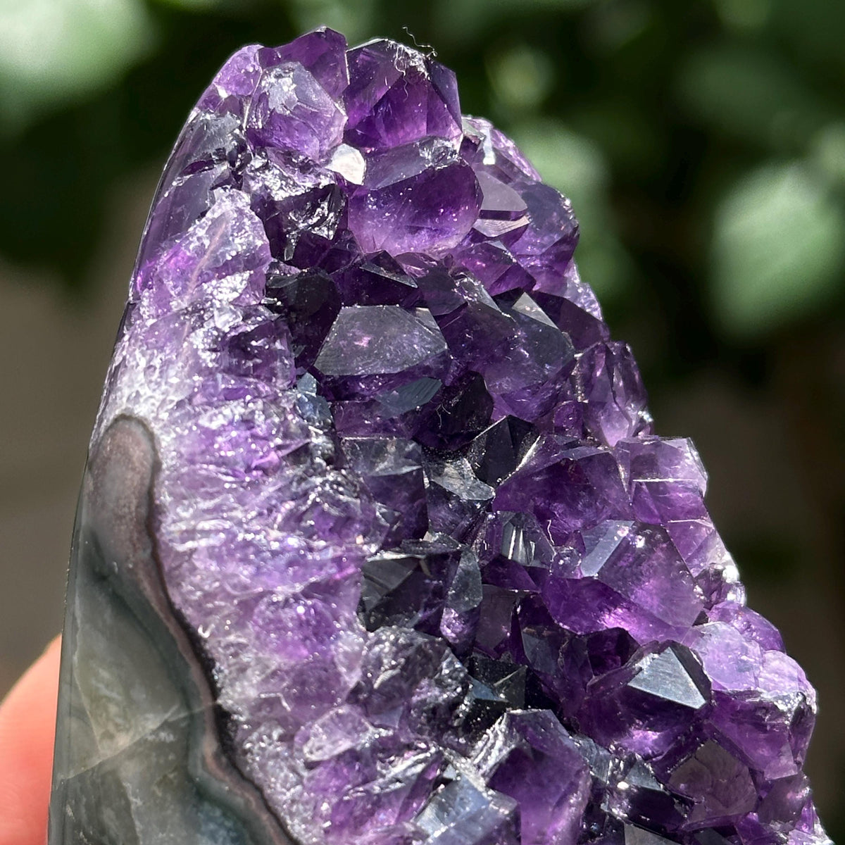 Uruguayan Amethyst Cluster with God Fingerprint Growth Marks, Deep Purple Druzy Crystal Specimen, One of a Kind - view 8
