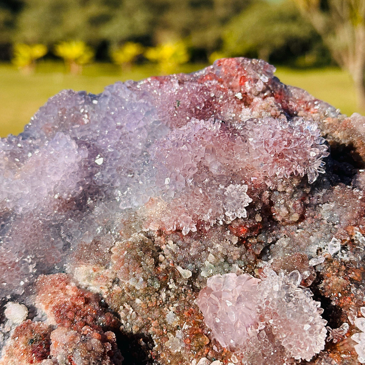 Large Brazilian Lodolite Quartz Heart, Scenic Garden Quartz Crystal, Druzy Flower Display, One of a Kind - view 3
