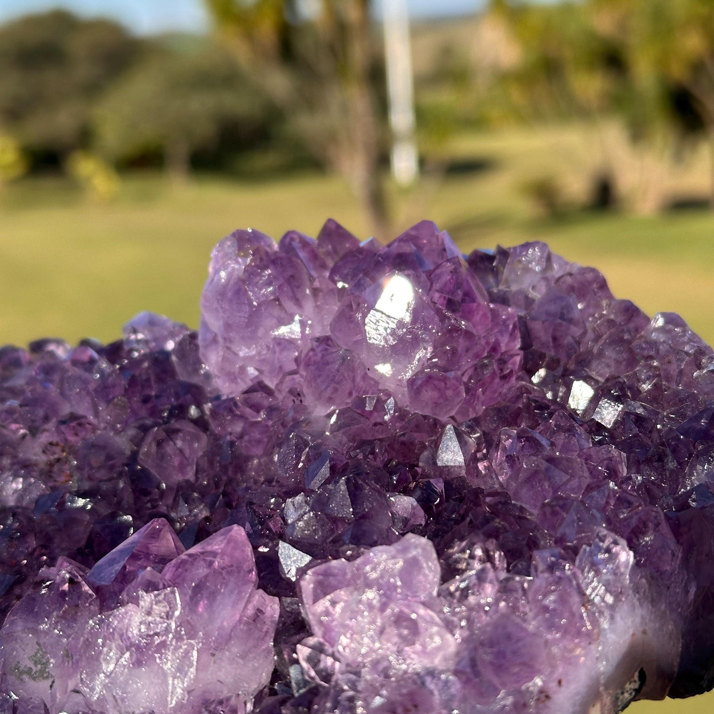 Brazilian Amethyst Heart, Purple Druzy Crystal with Flower Shape Clusters, One of a Kind Crystal Display Gift - view 7