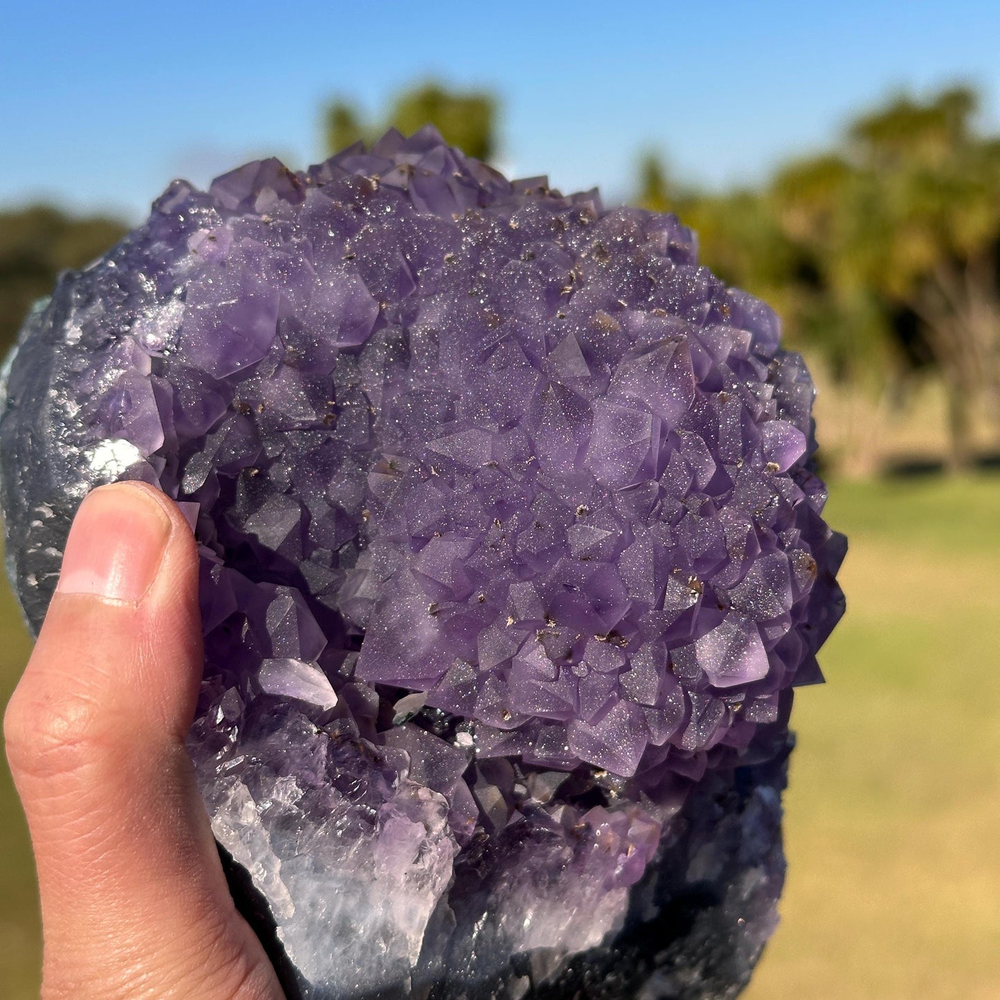 High Quality Brazilian Sugar Amethyst with Rutile, Purple Flower Shape Druzy Crystal, One of a Kind Specimen