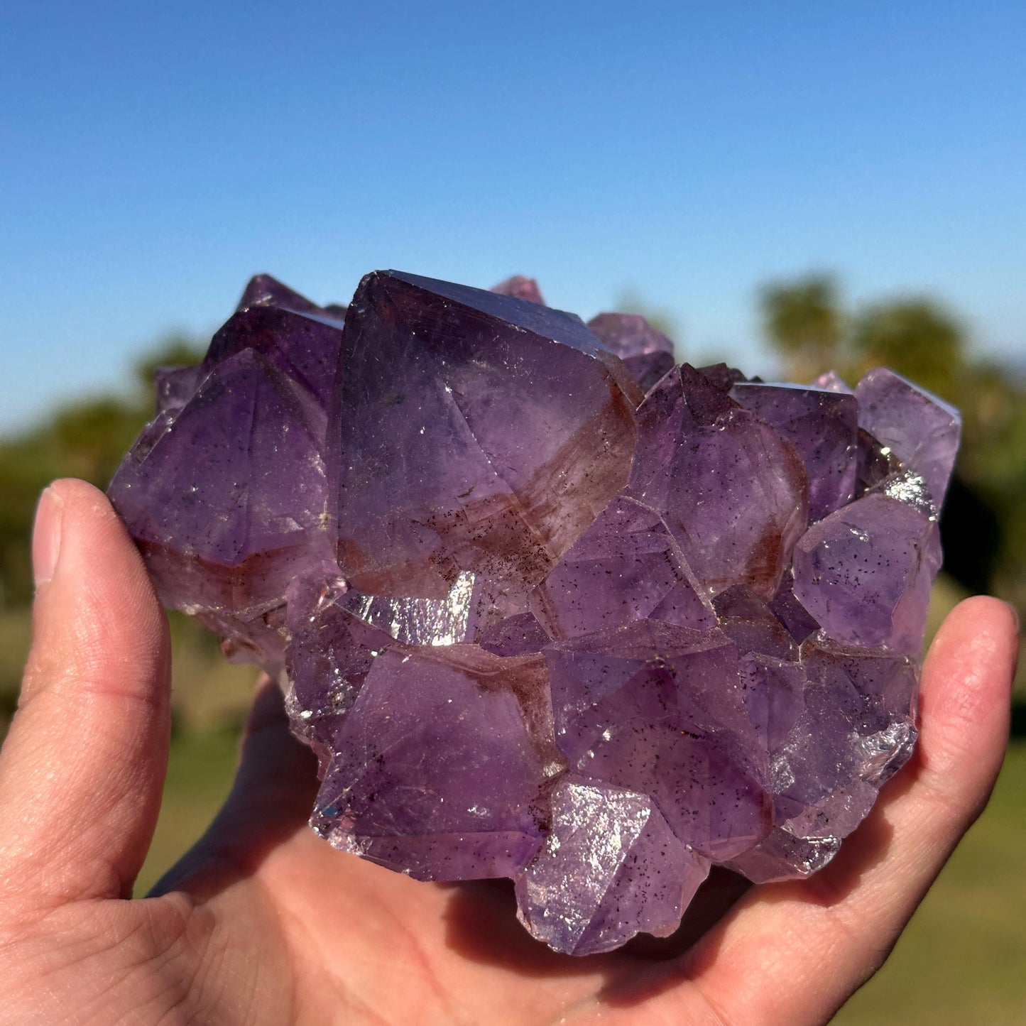Brazilian Amethyst with Red Rutile Inclusions, Purple Crystal Cluster, One of a Kind Natural Specimen