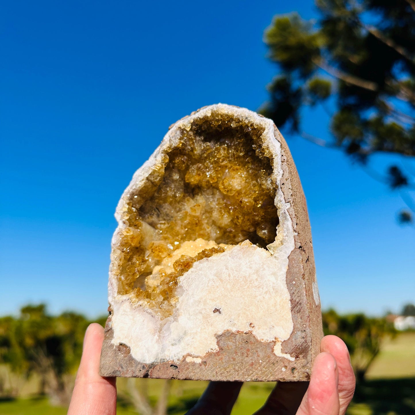 Brazilian Citrine Geode Cave, Golden Yellow Quartz Druzy Crystal, One of a Kind Natural Display Specimen - view 9