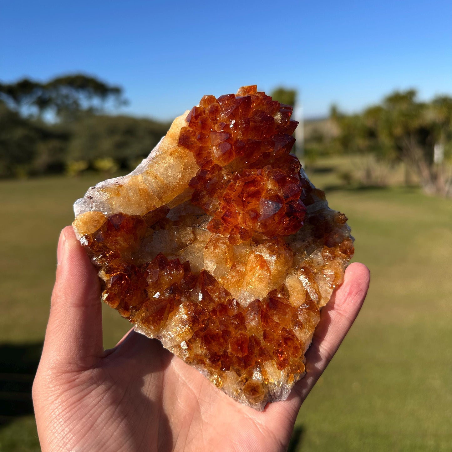 Brazilian Citrine Crystal Cluster, Golden Yellow Quartz with Flower Shape Druzy, One of a Kind Specimen