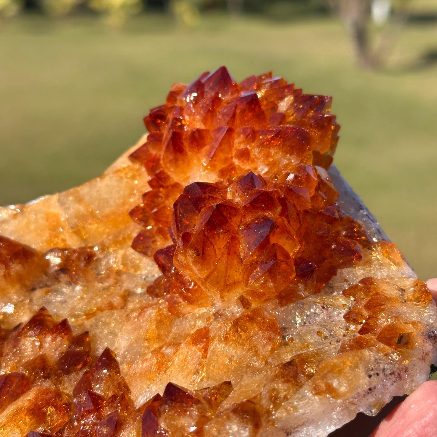 Brazilian Citrine Crystal Cluster, Golden Yellow Quartz with Flower Shape Druzy, One of a Kind Specimen