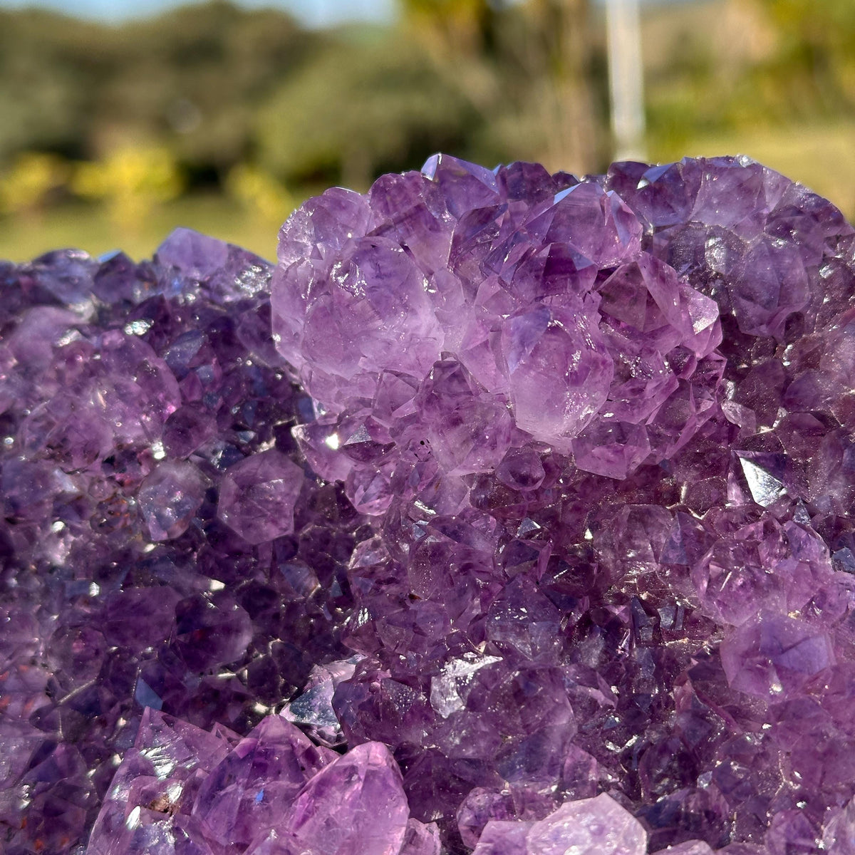 Brazilian Amethyst Heart, Purple Druzy Crystal with Flower Shape Clusters, One of a Kind Crystal Display Gift - view 5