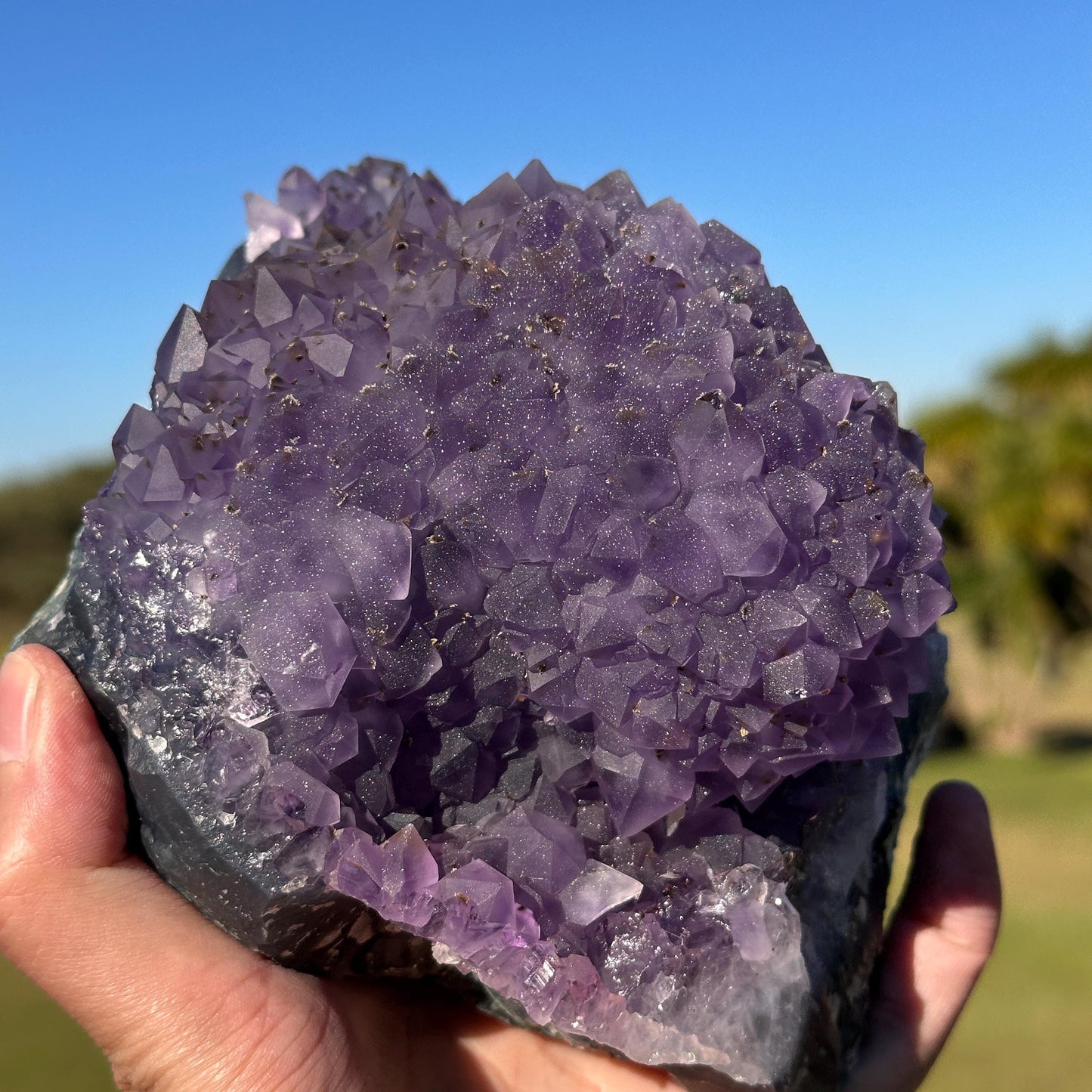 High Quality Brazilian Sugar Amethyst with Rutile, Purple Flower Shape Druzy Crystal, One of a Kind Specimen