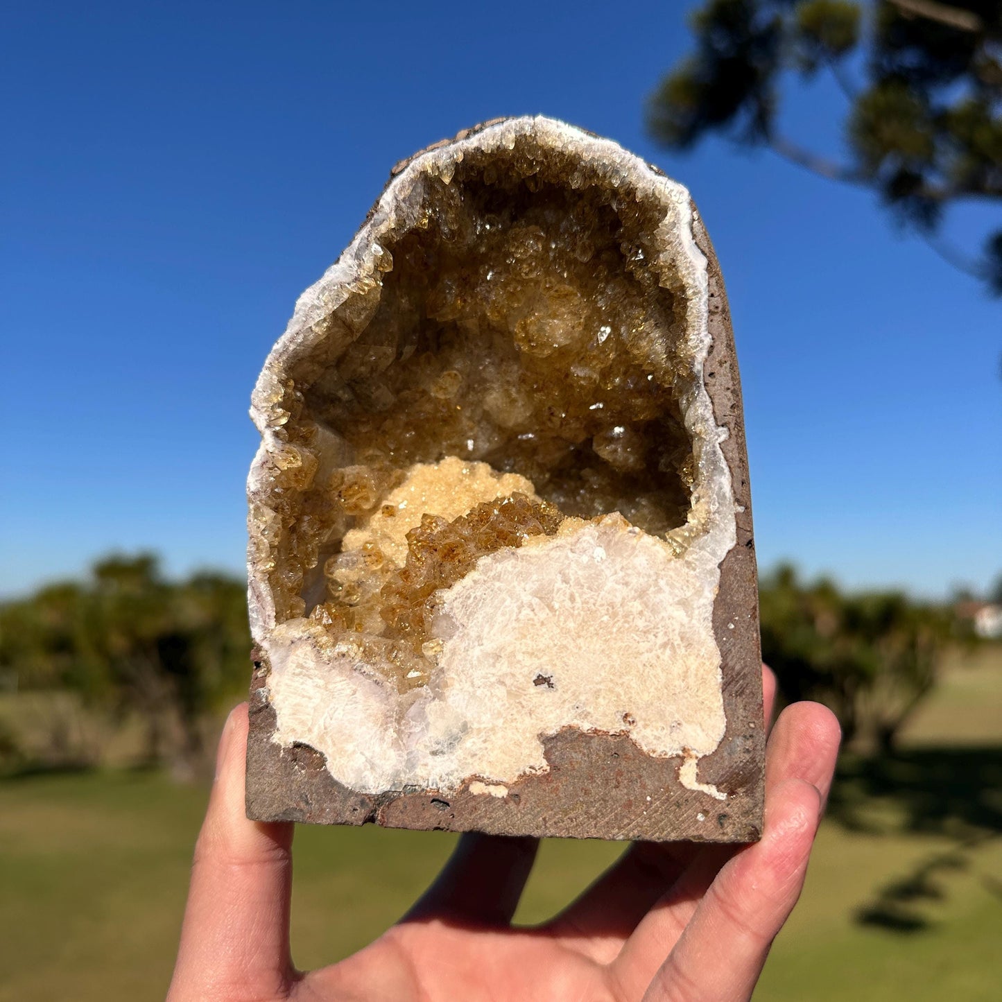 Brazilian Citrine Geode Cave, Golden Yellow Quartz Druzy Crystal, One of a Kind Natural Display Specimen