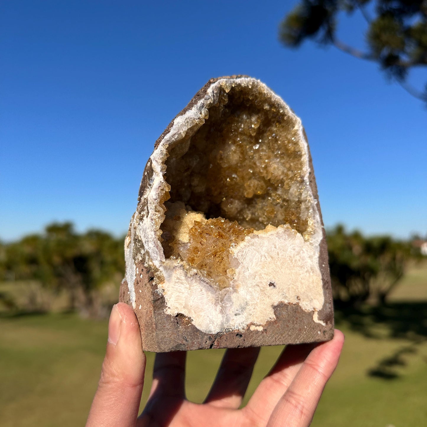 Brazilian Citrine Geode Cave, Golden Yellow Quartz Druzy Crystal, One of a Kind Natural Display Specimen