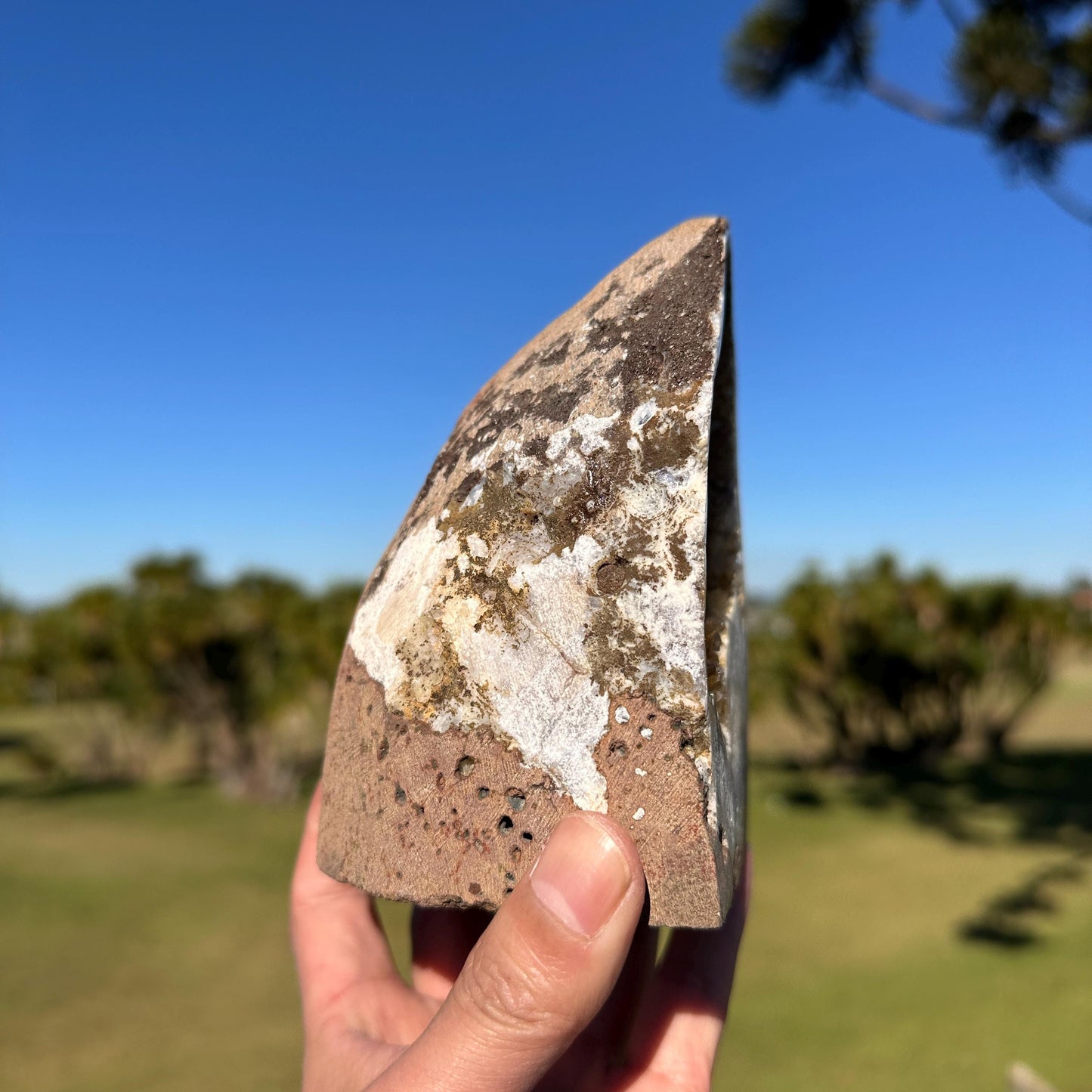 Brazilian Citrine Geode Cave, Golden Yellow Quartz Druzy Crystal, One of a Kind Natural Display Specimen