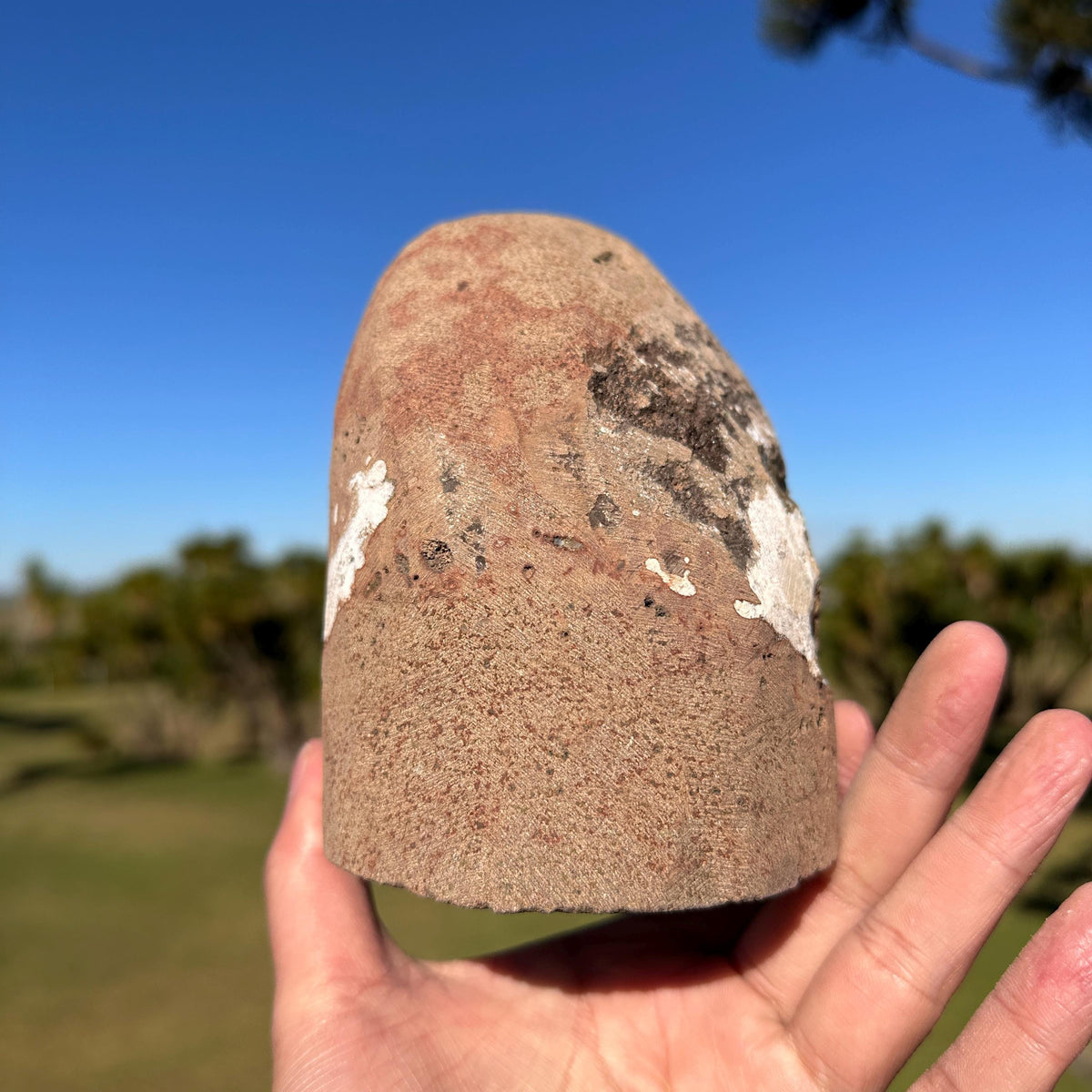 Brazilian Citrine Geode Cave, Golden Yellow Quartz Druzy Crystal, One of a Kind Natural Display Specimen - view 7