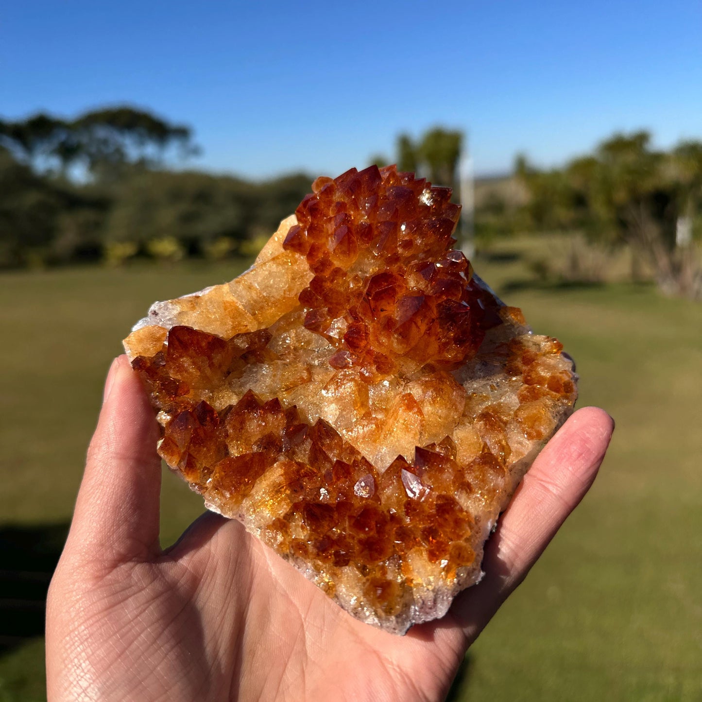 Brazilian Citrine Crystal Cluster, Golden Yellow Quartz with Flower Shape Druzy, One of a Kind Specimen