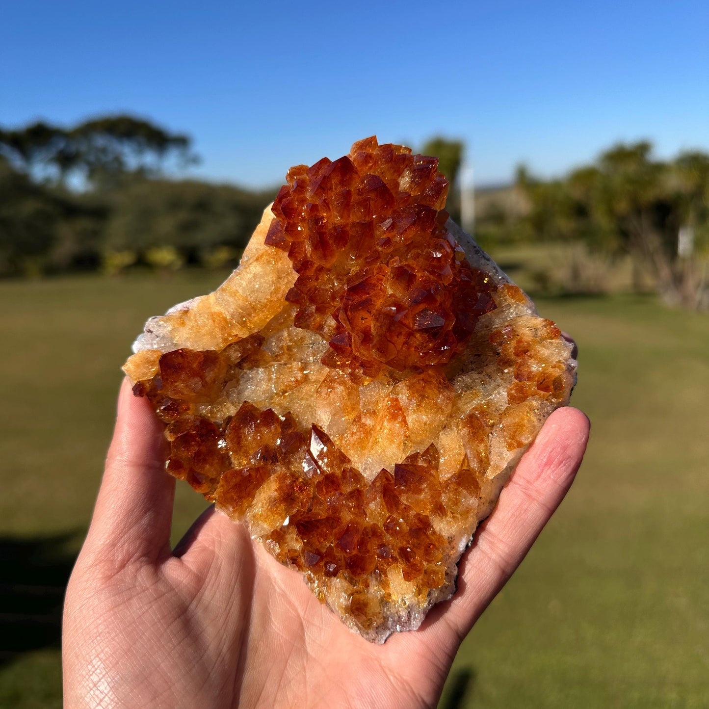 Brazilian Citrine Crystal Cluster, Golden Yellow Quartz with Flower Shape Druzy, One of a Kind Specimen