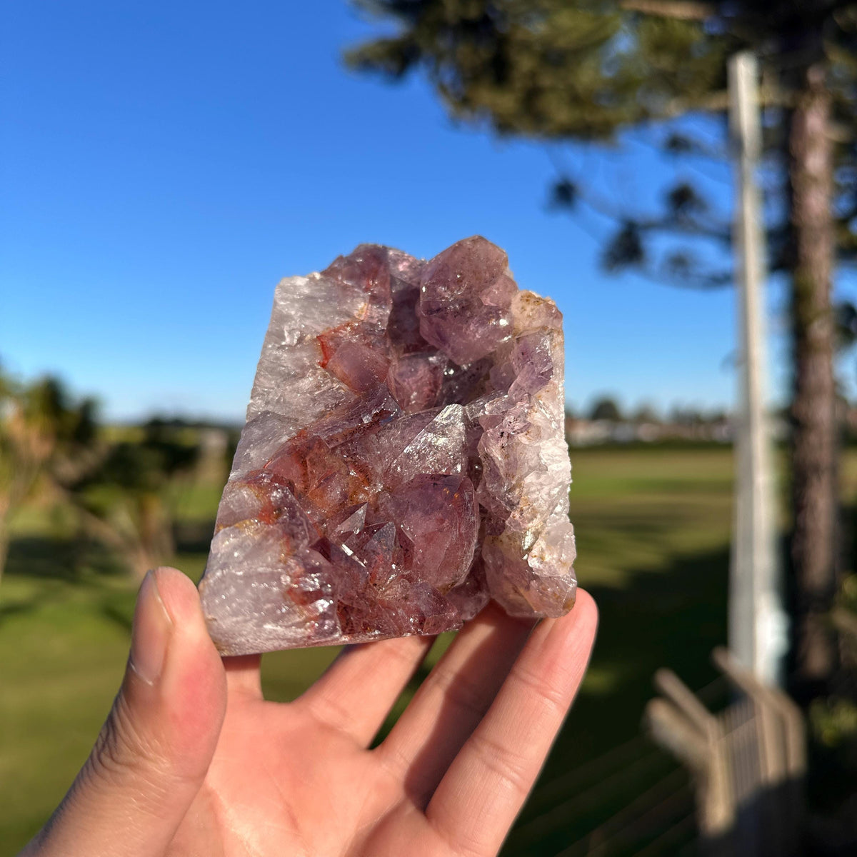 Rare Brazilian Red Rutilated Quartz and Amethyst Cluster, Natural Included Crystal, Choose Exact Specimen A or B - view 1