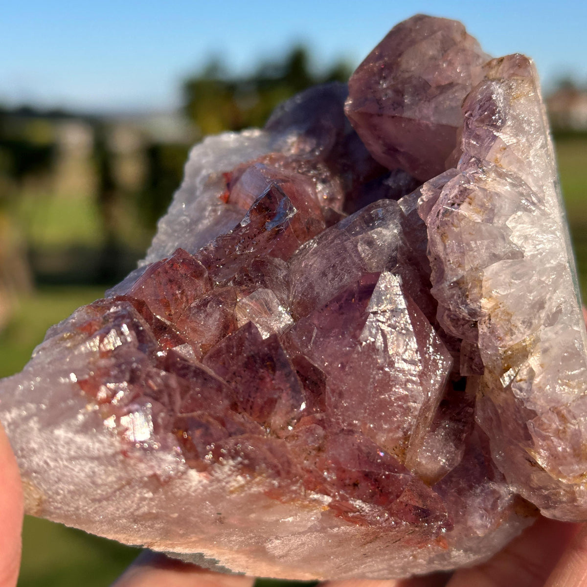 Rare Brazilian Red Rutilated Quartz and Amethyst Cluster, Natural Included Crystal, Choose Exact Specimen A or B - view 7