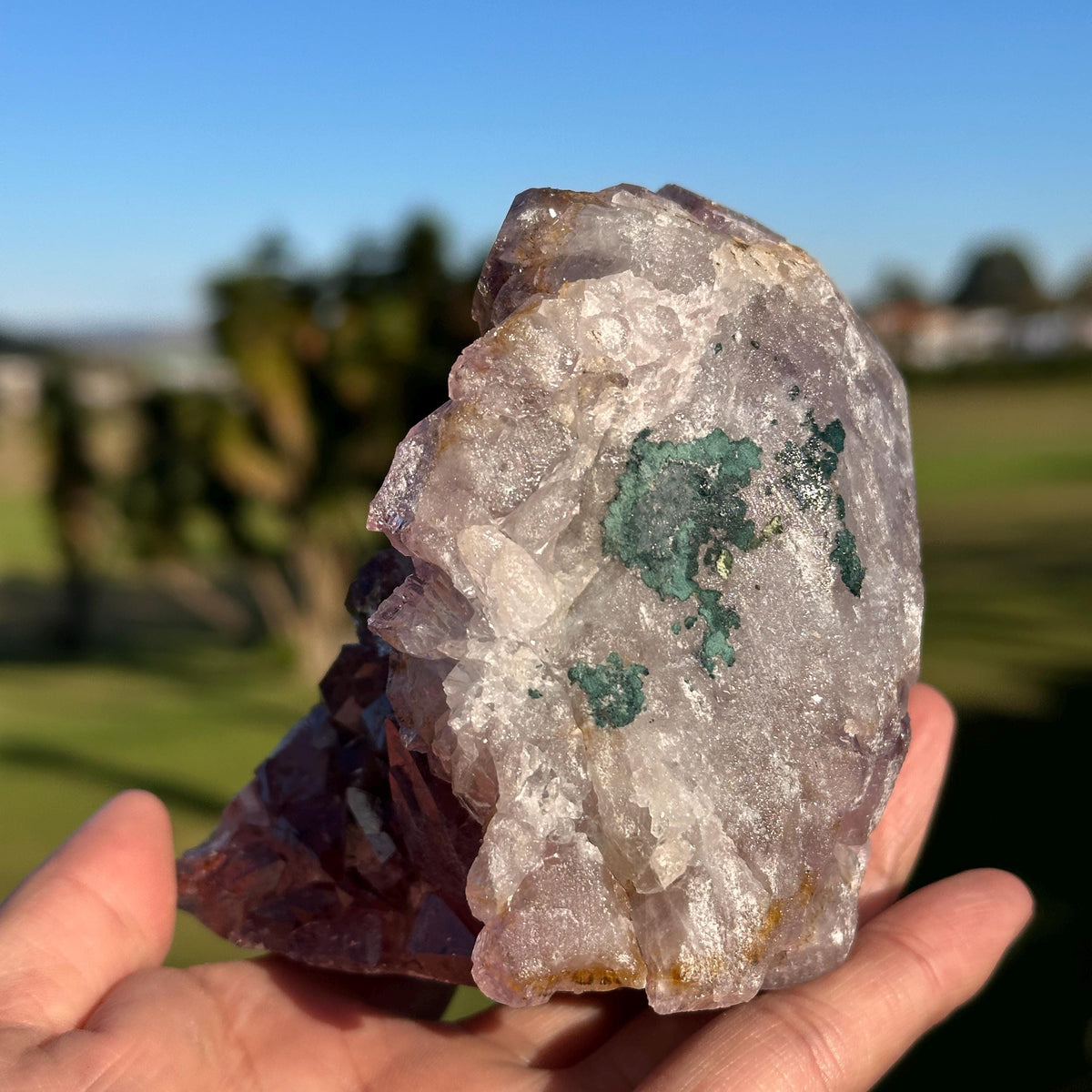 Rare Brazilian Red Rutilated Quartz and Amethyst Cluster, Natural Included Crystal, Choose Exact Specimen A or B - view 5
