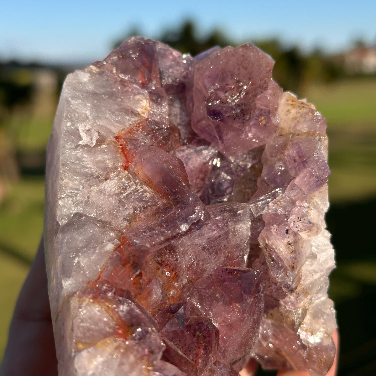 Rare Brazilian Red Rutilated Quartz and Amethyst Cluster, Natural Included Crystal, Choose Exact Specimen A or B - view 9