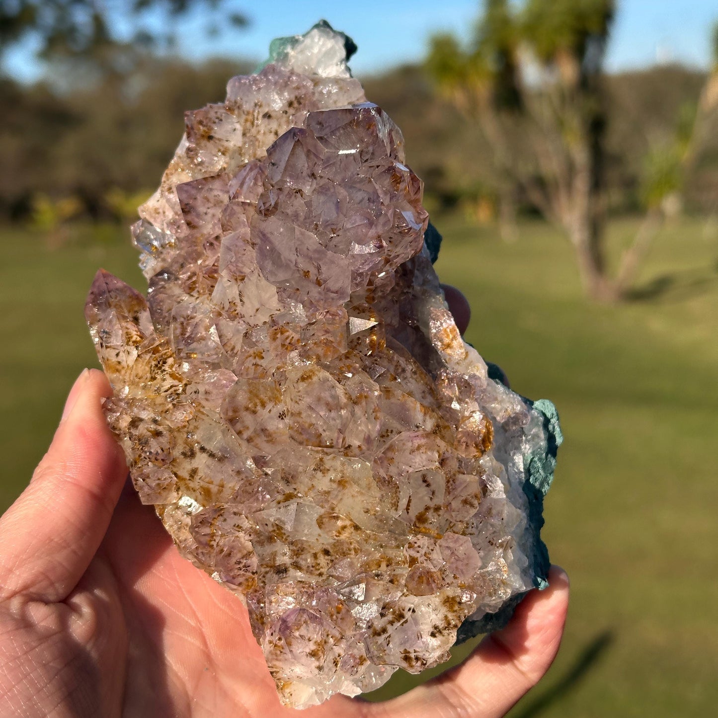 Rare Brazilian Amethyst Cluster with Golden Rutile Inclusions, Natural Rutilated Quartz Raw Crystal, Exact Mineral Specimen - view 6