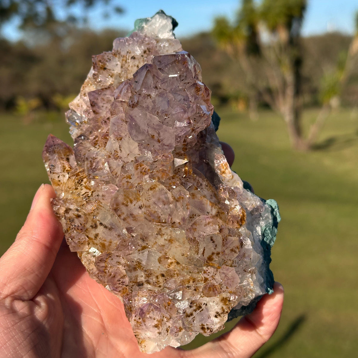 Rare Brazilian Amethyst Cluster with Golden Rutile Inclusions, Natural Rutilated Quartz Raw Crystal, Exact Mineral Specimen - view 6