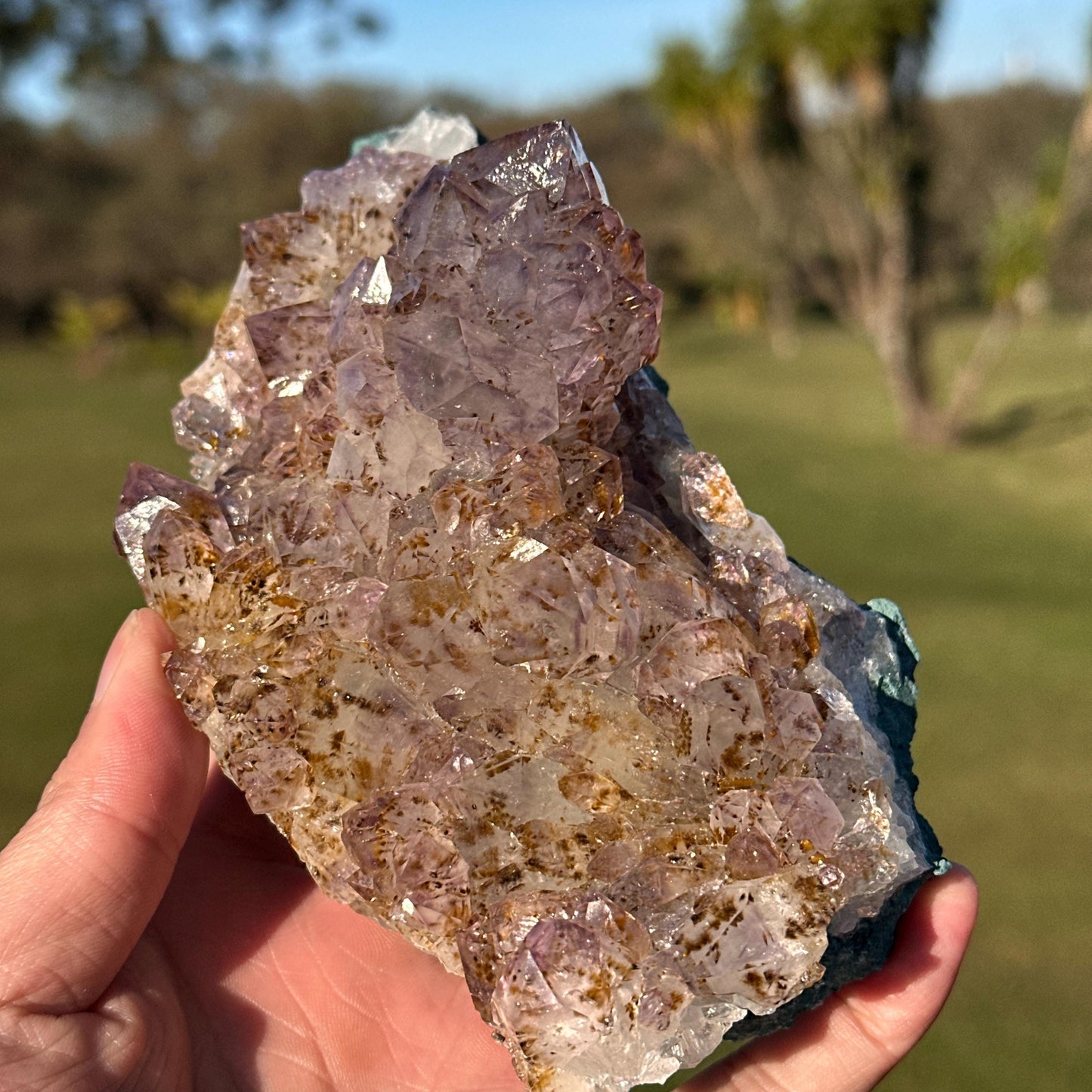 Rare Brazilian Amethyst Cluster with Golden Rutile Inclusions, Natural Rutilated Quartz Raw Crystal, Exact Mineral Specimen - view 5