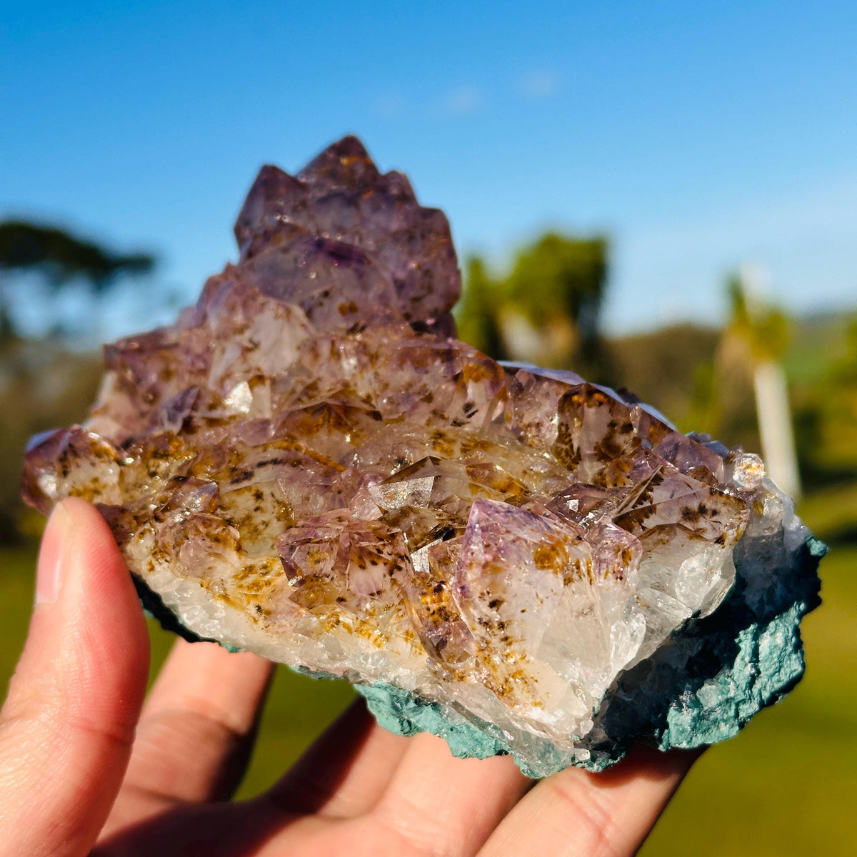 Rare Brazilian Amethyst Cluster with Golden Rutile Inclusions, Natural Rutilated Quartz Raw Crystal, Exact Mineral Specimen - view 1