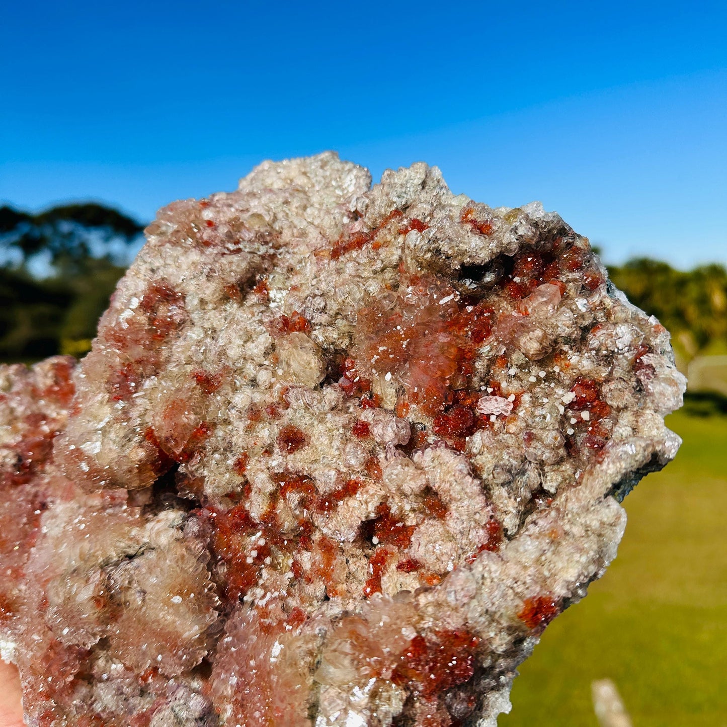 Rare Brazilian Red Included Quartz Cluster, Natural Red Phantom Style Crystal, Raw One of a Kind Collector Specimen - view 5
