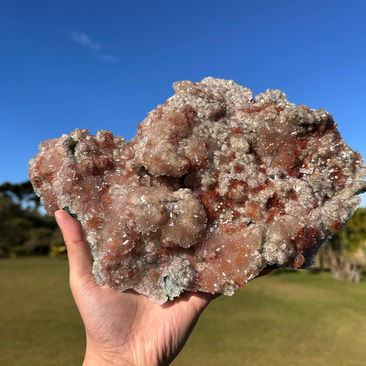 Rare Brazilian Red Included Quartz Cluster, Natural Red Phantom Style Crystal, Raw One of a Kind Collector Specimen - view 6