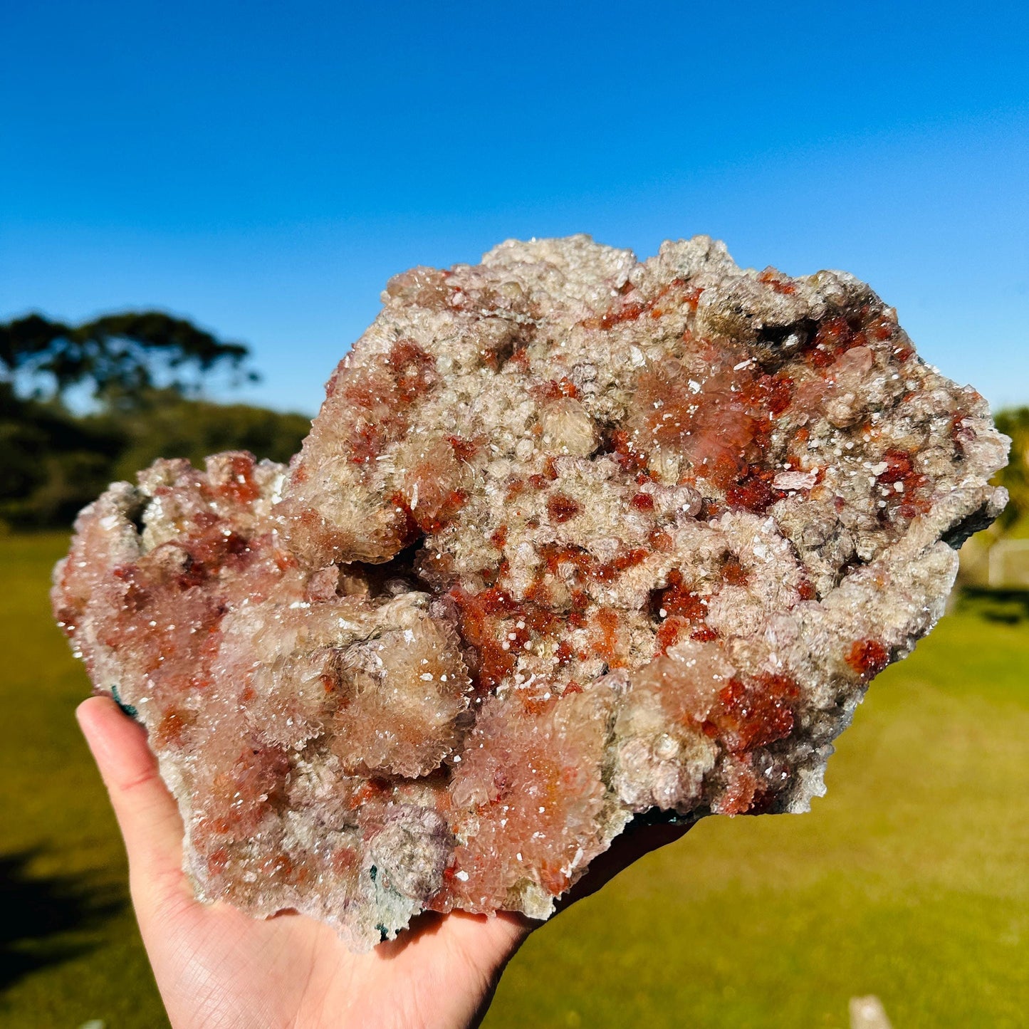 Rare Brazilian Red Included Quartz Cluster, Natural Red Phantom Style Crystal, Raw One of a Kind Collector Specimen - view 4