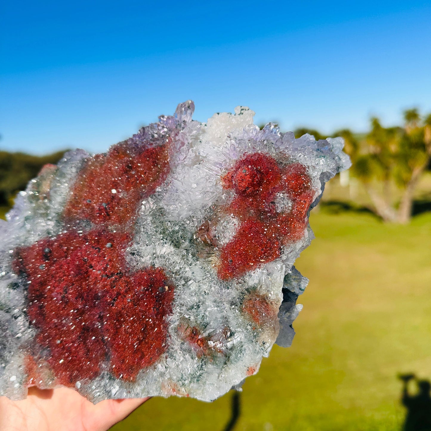 Rare Brazilian Included Quartz Raw Specimen, Fish-Shaped Multicolor Crystal Cluster, One of a Kind Collector Stone - view 5