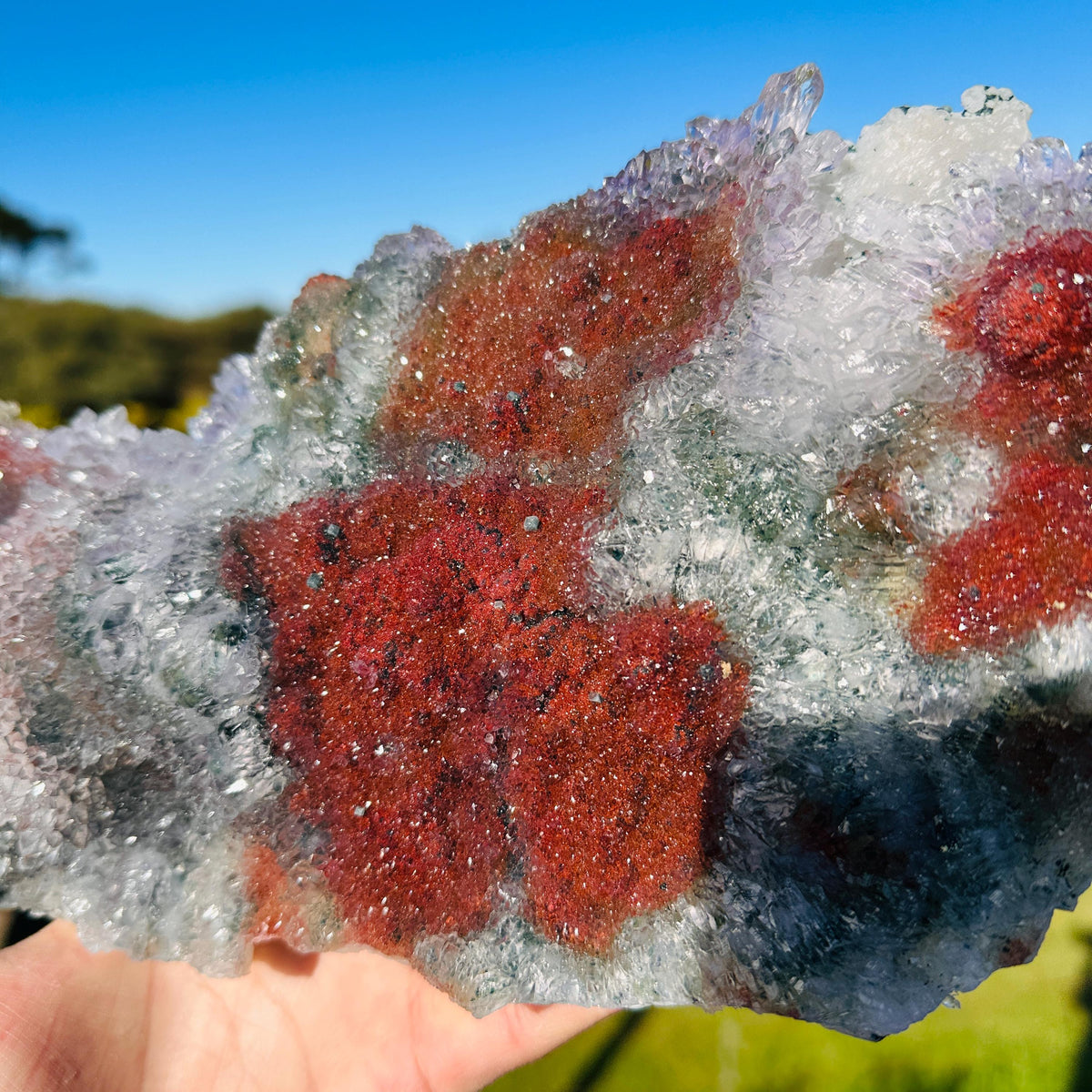 Rare Brazilian Included Quartz Raw Specimen, Fish-Shaped Multicolor Crystal Cluster, One of a Kind Collector Stone - view 6