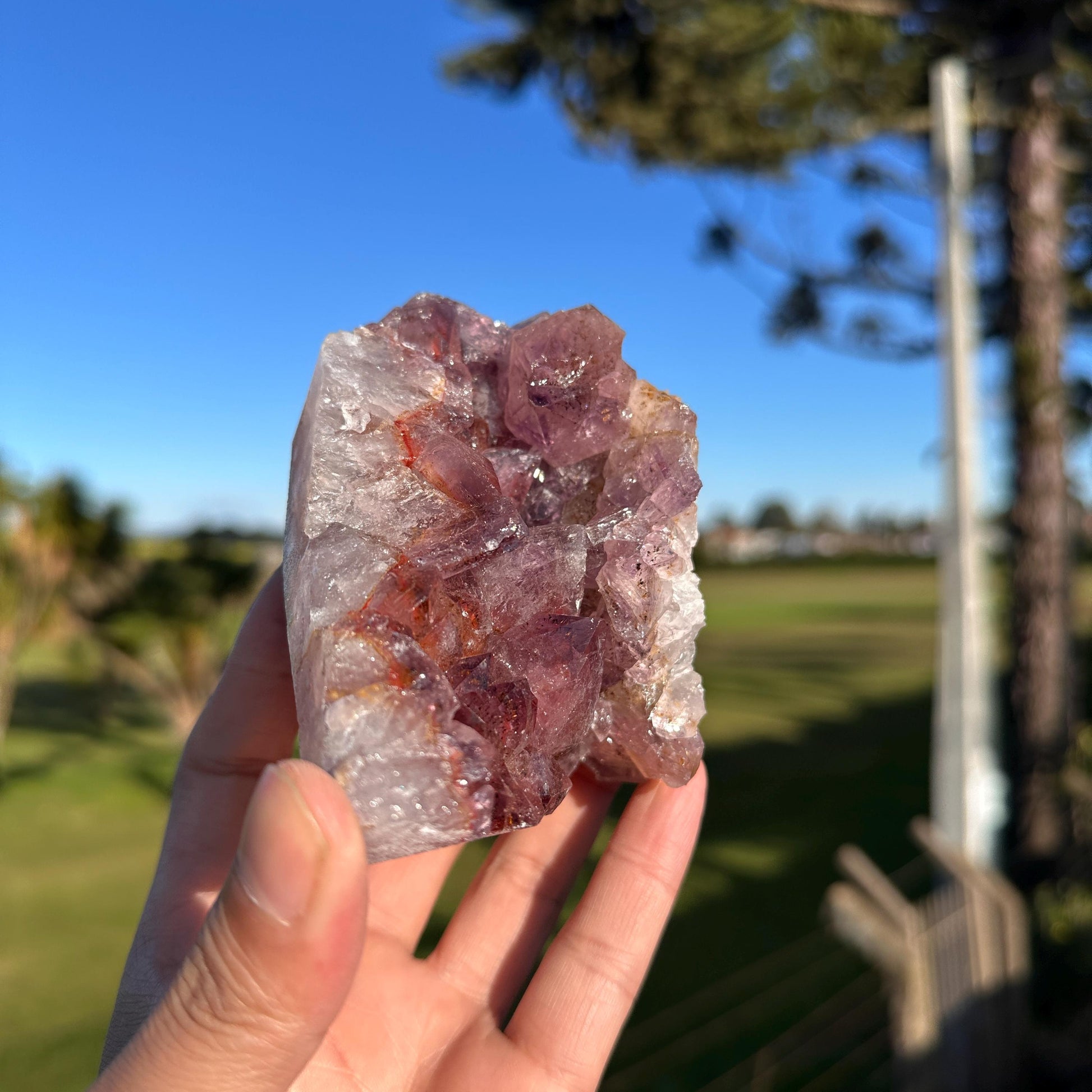 Rare Brazilian Red Rutilated Quartz and Amethyst Cluster, Natural Included Crystal, Choose Exact Specimen A or B - view 2