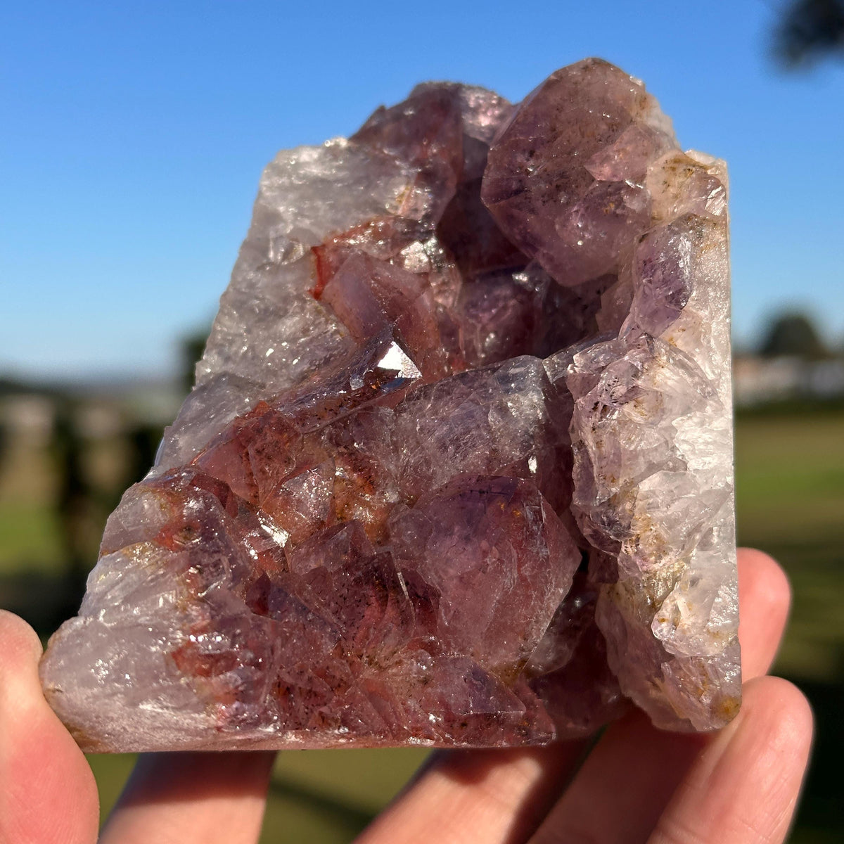 Rare Brazilian Red Rutilated Quartz and Amethyst Cluster, Natural Included Crystal, Choose Exact Specimen A or B - view 3