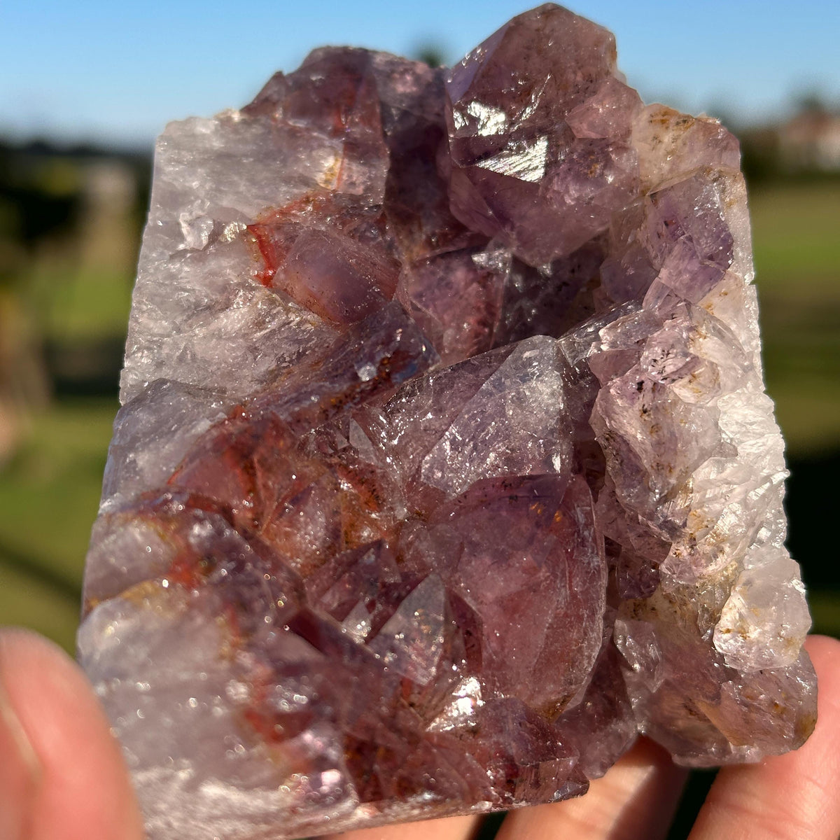 Rare Brazilian Red Rutilated Quartz and Amethyst Cluster, Natural Included Crystal, Choose Exact Specimen A or B - view 8