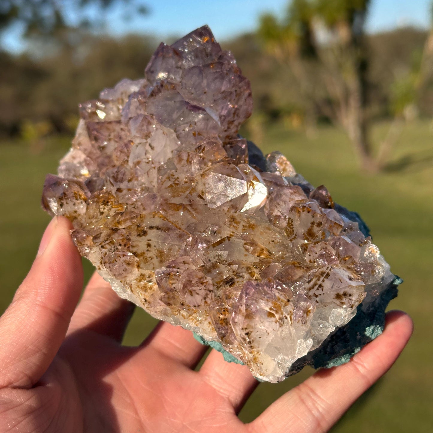 Rare Brazilian Amethyst Cluster with Golden Rutile Inclusions, Natural Rutilated Quartz Raw Crystal, Exact Mineral Specimen - view 2