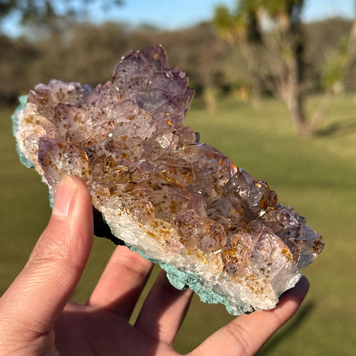 Rare Brazilian Amethyst Cluster with Golden Rutile Inclusions, Natural Rutilated Quartz Raw Crystal, Exact Mineral Specimen - view 4
