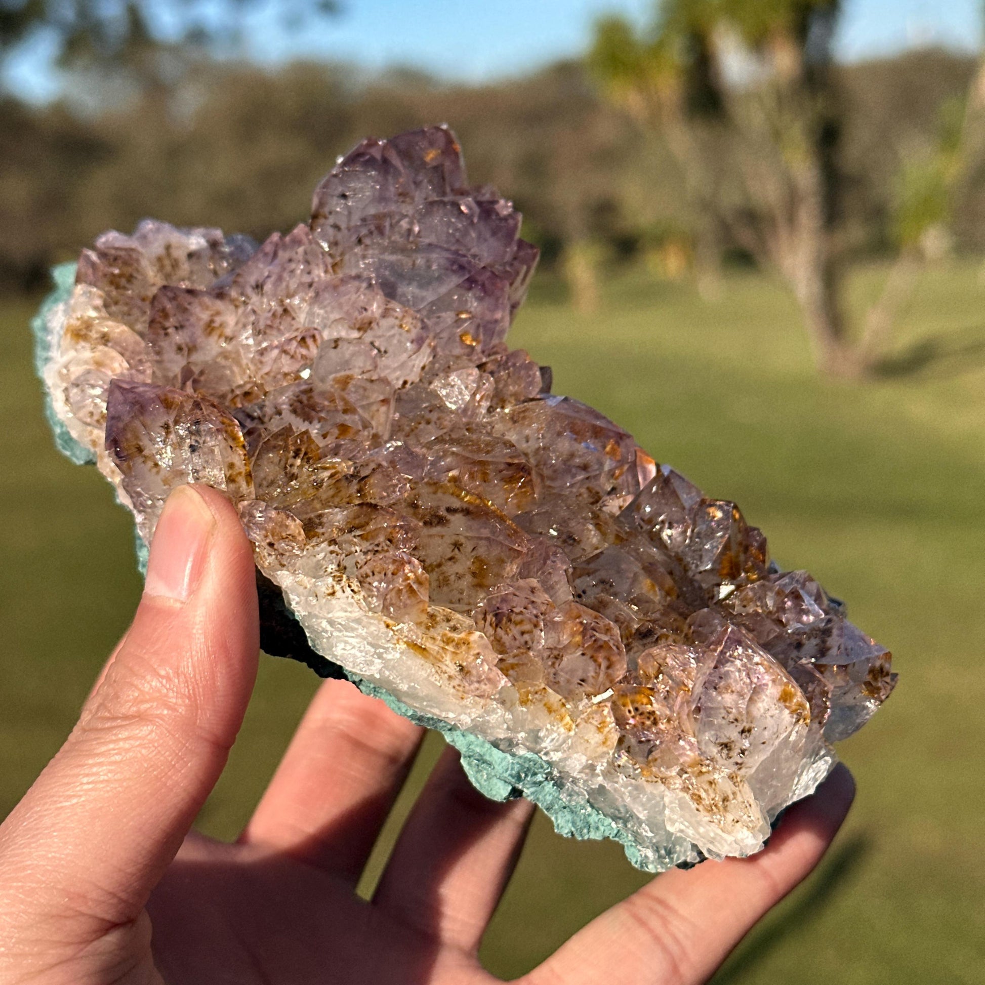 Rare Brazilian Amethyst Cluster with Golden Rutile Inclusions, Natural Rutilated Quartz Raw Crystal, Exact Mineral Specimen - view 4