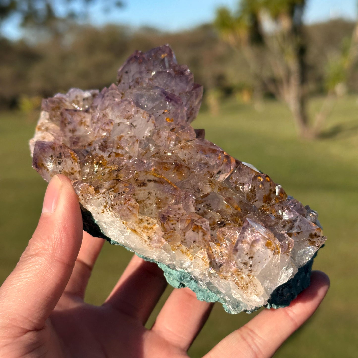 Rare Brazilian Amethyst Cluster with Golden Rutile Inclusions, Natural Rutilated Quartz Raw Crystal, Exact Mineral Specimen - view 3