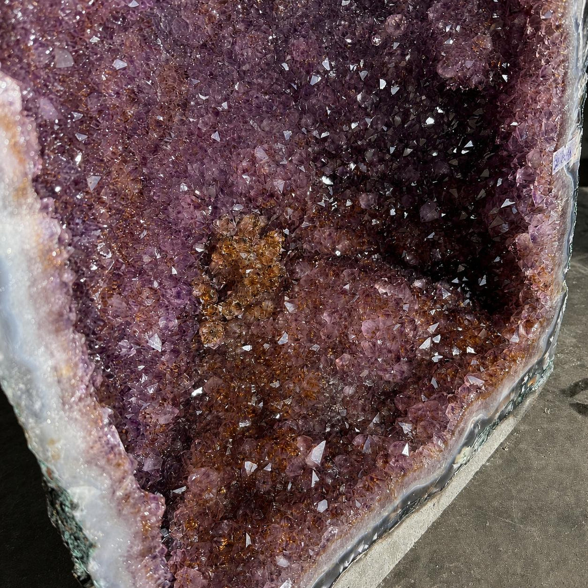 Top Grade Brazilian Amethyst Geode with Golden Rutile Inclusions, Natural Outer Rind Crystal Cave, 20kg Exact Specimen - view 9