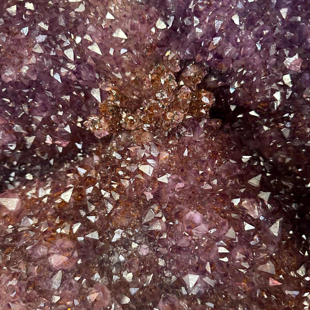 Top Grade Brazilian Amethyst Geode with Golden Rutile Inclusions, Natural Outer Rind Crystal Cave, 20kg Exact Specimen - view 7
