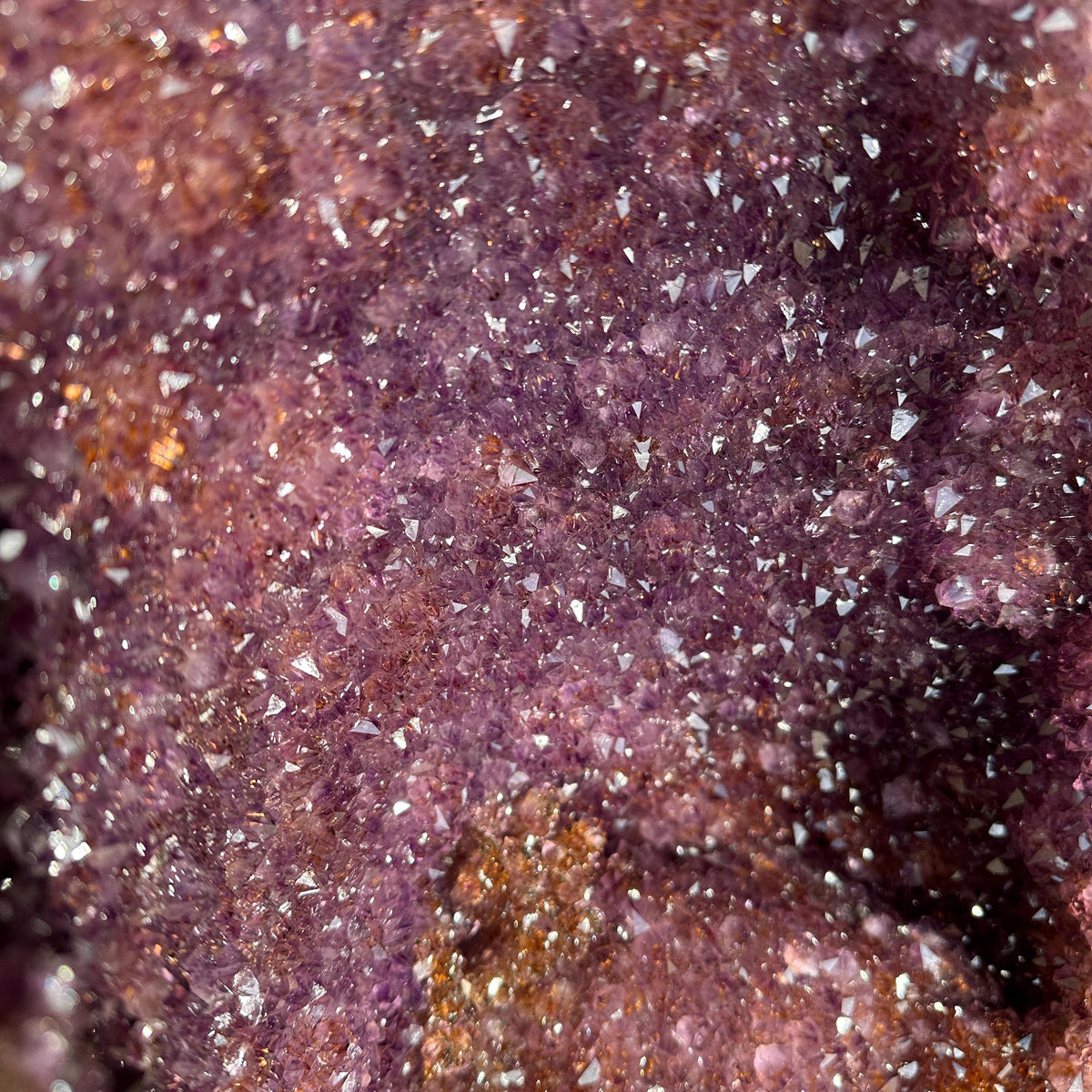 Top Grade Brazilian Amethyst Geode with Golden Rutile Inclusions, Natural Outer Rind Crystal Cave, 20kg Exact Specimen - view 10