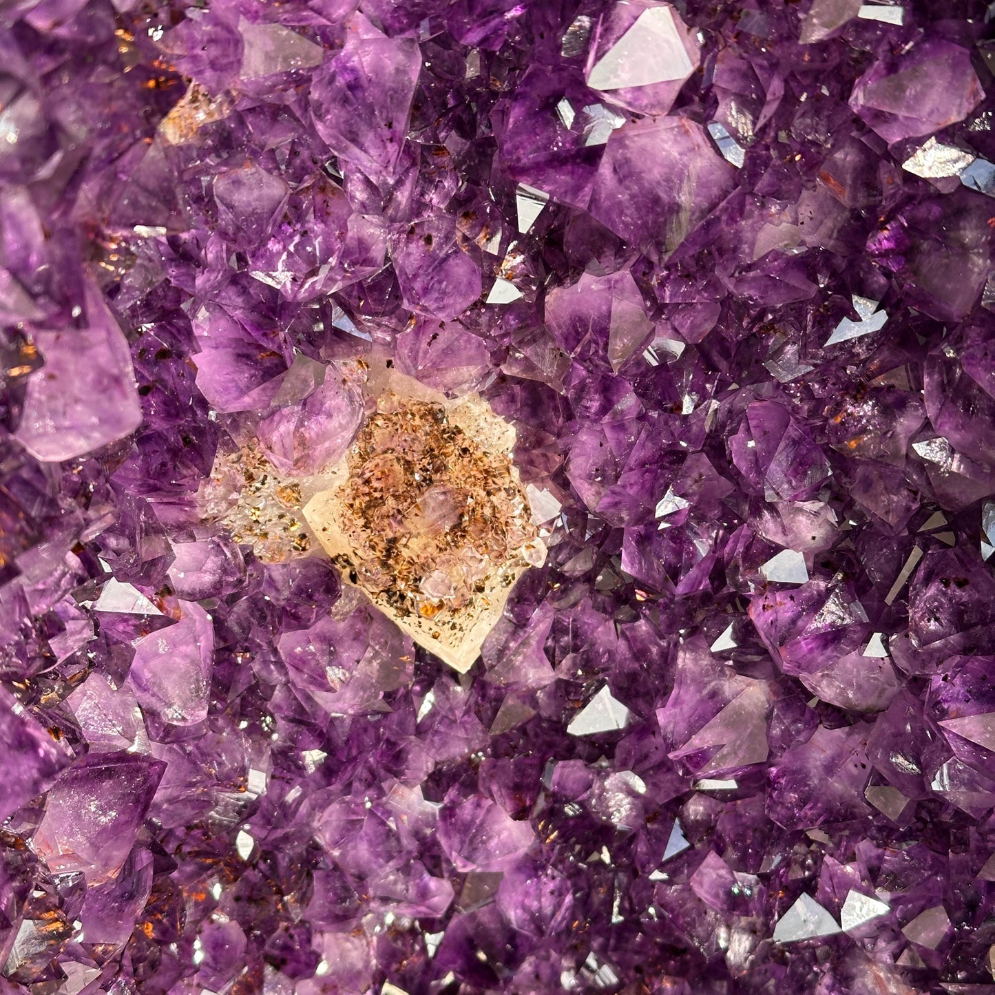 Top Grade Brazilian Amethyst Geode with Calcite and Golden Rutile Inclusions, Natural Outer Rind Crystal Cave, 33.4kg Exact Specimen - view 9